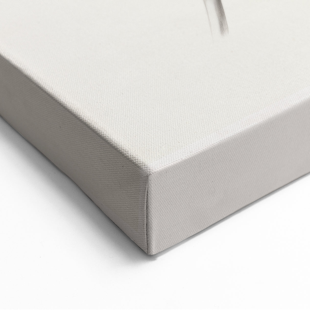 Winter Wall Decor – Botanical Black and White Nature Sketch Print