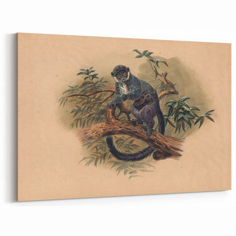 Vintage Animal Art: Retro Lemur Illustration for Jungle Decor