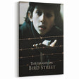 1990s Vintage Movie Poster – The Island on Bird Street Classic 90s Art