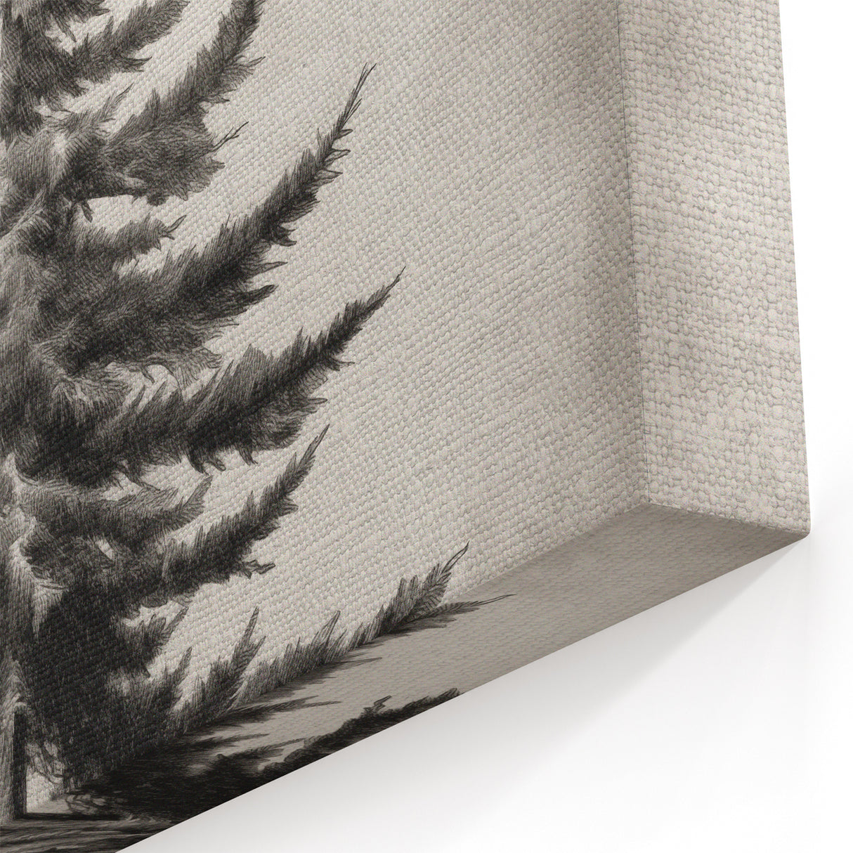 Vintage Winter Pine Tree Wall Art – Black and White Nature Print