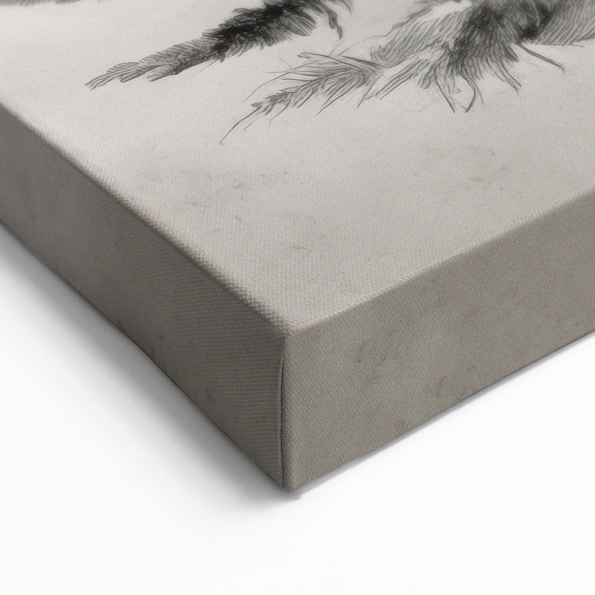 Vintage Winter Pine Tree Wall Art – Black and White Nature Print