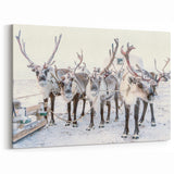 Snowy Landscape Wall Art – Majestic Reindeer Winter Canvas Art