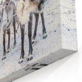 Snowy Landscape Wall Art – Majestic Reindeer Winter Canvas Art