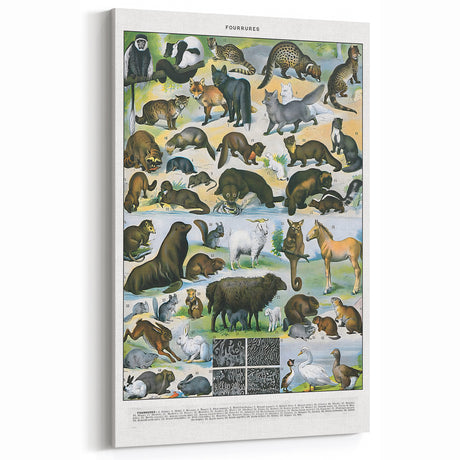 Vintage Furry Animal Art Print – Retro Wildlife Wall Decor