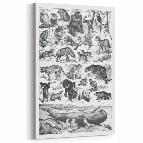 Vintage Wild Animal Illustration Art Print – Retro Wildlife Wall Decor