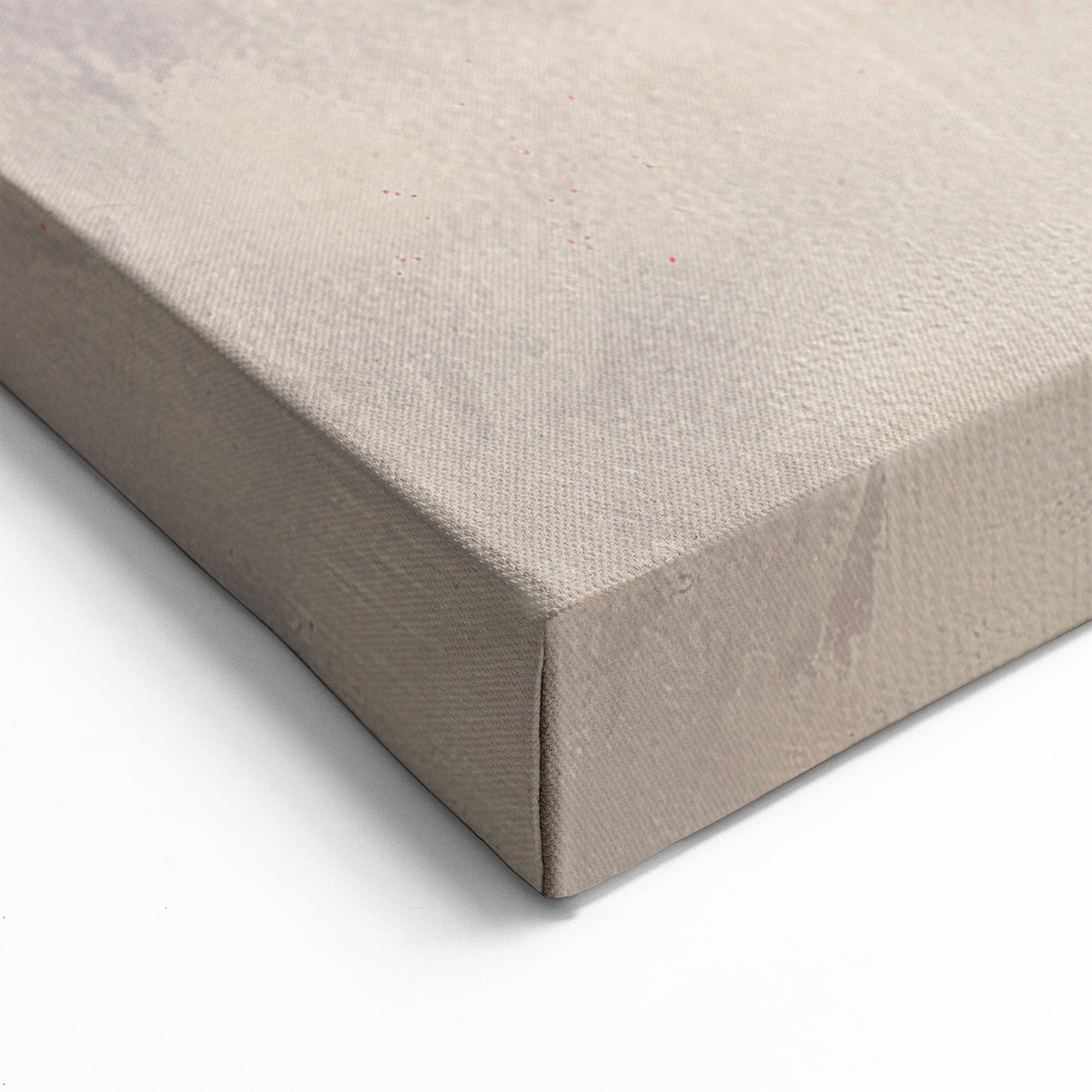 Elegant Peach Branch – Fruit Canvas Art for Kitchen Wall Decor