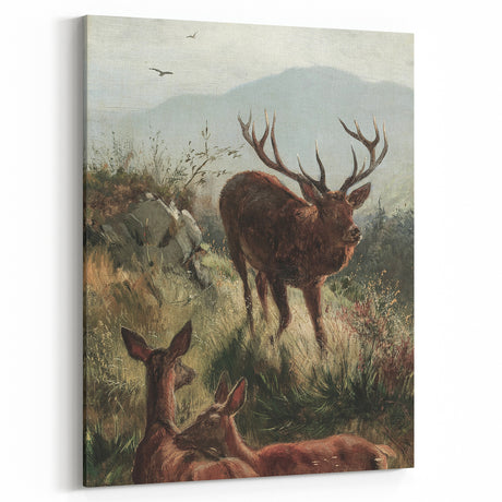 Vintage Animal Art: Stag & Deer Antique Wildlife Print for Classic Decor