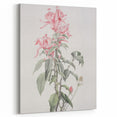 Vintage Botanical Art Print - Pink Floral Illustration – Framed