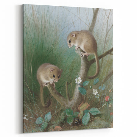 Vintage Animal Art: Mice Antique Wildlife Print for Classic Decor