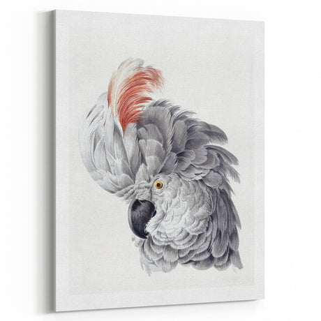 Cockatoo Illustration Art Print – Nature-Inspired Bird Wall Decor
