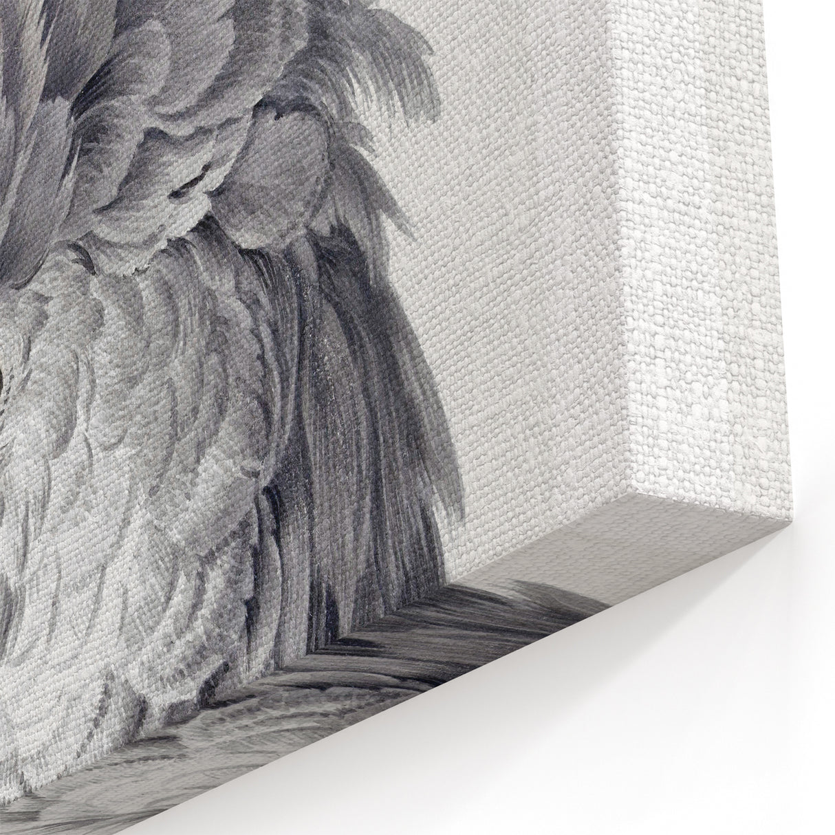 Cockatoo Illustration Art Print – Nature-Inspired Bird Wall Decor