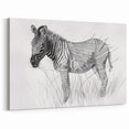 Zebra Illustration Art Print – Detailed Nature-Inspired Animal Decor