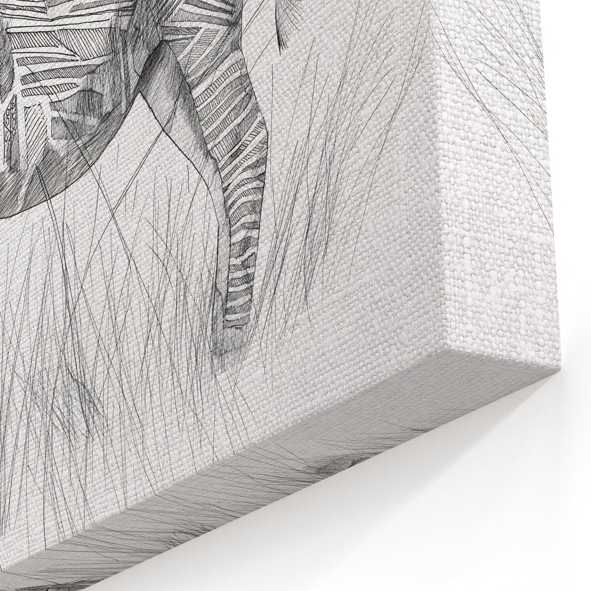 Zebra Illustration Art Print – Detailed Nature-Inspired Animal Decor