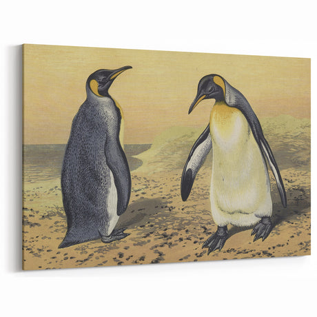 Vintage Animal Art: Penguin Illustration Art Print for Home Decor