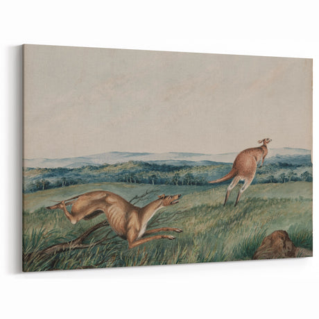 Vintage Animal Art: Retro Kangaroo & Greyhound Illustration for Decor