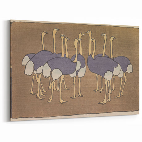 Vintage Animal Art: Ostriches Illustration Art Print for Home Decor