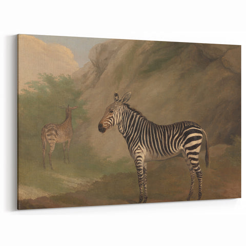 Vintage Animal Art - Majestic Zebra in Nature Antique Print