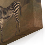 Vintage Animal Art - Majestic Zebra in Nature Antique Print