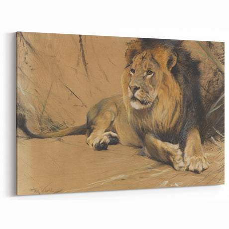 Vintage Animal Art - Resting Lion Pastel Wildlife Print