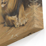 Vintage Animal Art - Resting Lion Pastel Wildlife Print