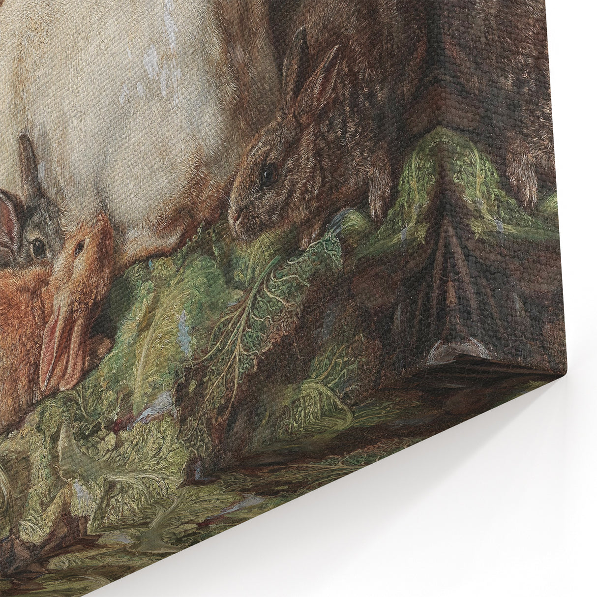 Vintage Animal Art - Rabbits in Nest Antique Wildlife Print