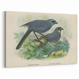 Vintage Animal Art: Bird Illustration Art Print