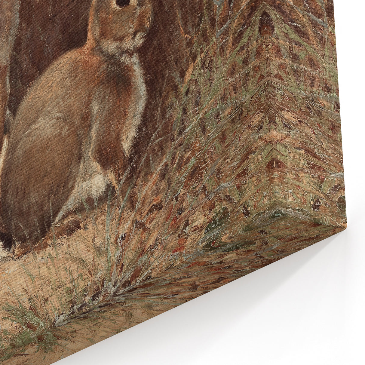 Vintage Animal Art - Rabbits in Grass Antique Wildlife Print