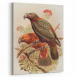 Vintage Animal Art: Parrot Illustration Art Print