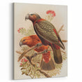 Vintage Animal Art: Parrot Illustration Art Print
