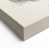 Vintage Animal Art: Takahe Illustration Art Print