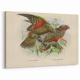 Vintage Animal Art: Parrot Illustration Art Print