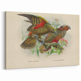 Vintage Animal Art: Parrot Illustration Art Print
