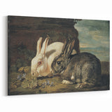 Vintage Animal Art - White & Brown Rabbits Antique Wildlife Print