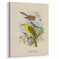 Vintage Animal Art: Bird Illustration Art Print