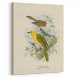 Vintage Animal Art: Bird Illustration Art Print