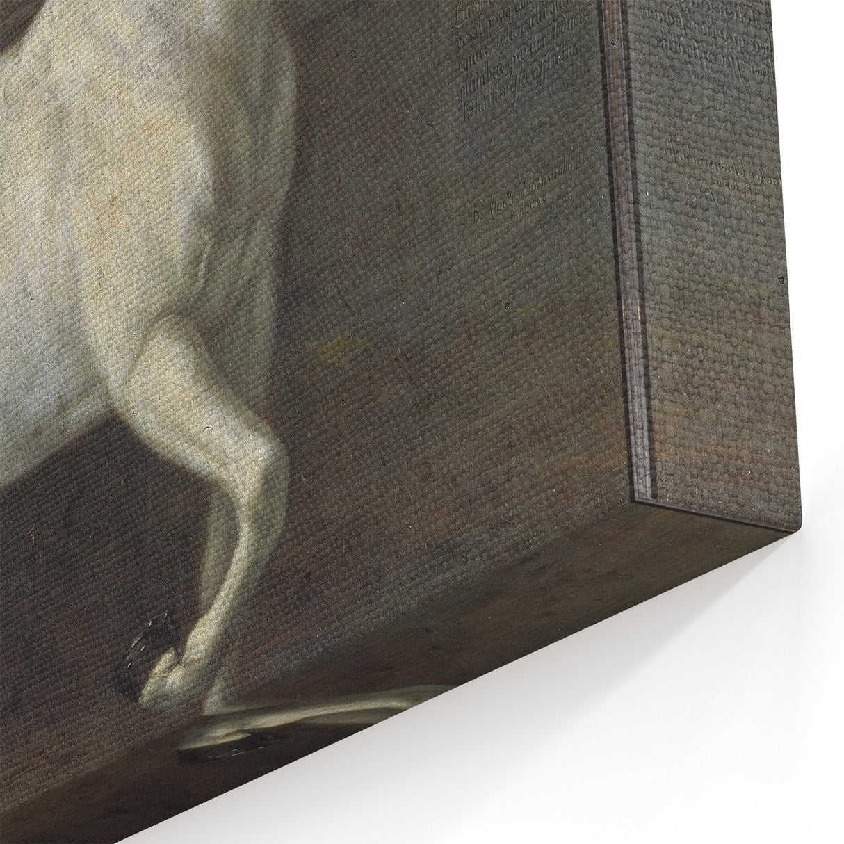Vintage Animal Art - Classic White Horse Antique Wildlife Prints
