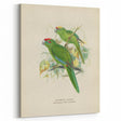 Vintage Animal Art: Parrot Illustration Art Print