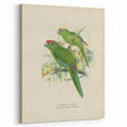 Vintage Animal Art: Parrot Illustration Art Print