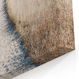 Coastal Dune Pathway - Summer Landscape Art