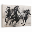 Vintage Animal Art - Powerful Running Black Horses