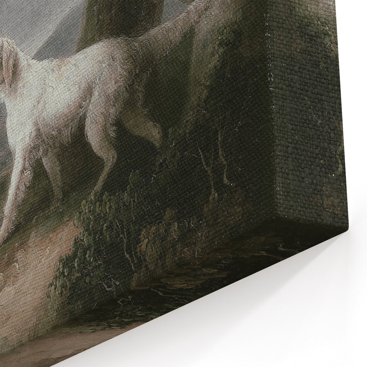 Vintage Animal Art: Dog in Scenic Landscape | Antique Wildlife Prints