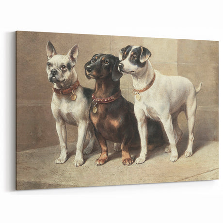 Vintage Animal Art: Trio of Dogs – Retro Wildlife Illustration