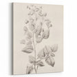 Vintage Botanical Art Print: Detailed Floral Leaf Illustration