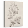 Vintage Botanical Art Print: Detailed Floral Leaf Illustration