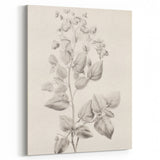 Vintage Botanical Art Print: Detailed Floral Leaf Illustration