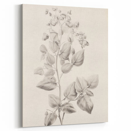 Vintage Botanical Art Print: Detailed Floral Leaf Illustration