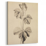 Vintage Botanical Art Print: Elegant Leaf Stem Illustration