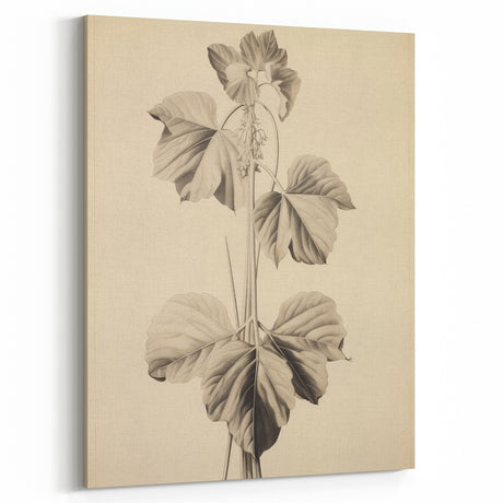 Vintage Botanical Art Print: Elegant Leaf Stem Illustration