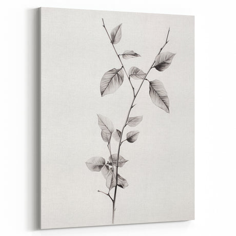 Vintage Botanical Art Print: Elegant Leaf Stem in Black & White