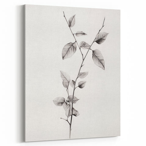 Vintage Botanical Art Print: Elegant Leaf Stem in Black & White